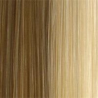 504 Anemone: Synthetic Wig by WIGPRO