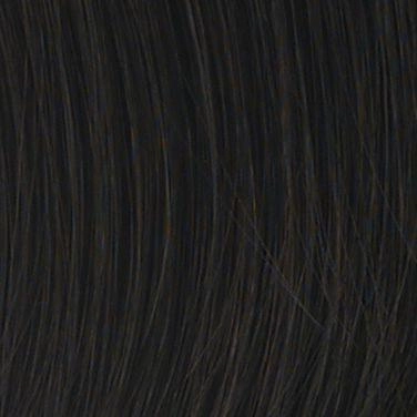 Allure Wig by Hairdo | Heat Friendly Synthetic (Traditional Cap)