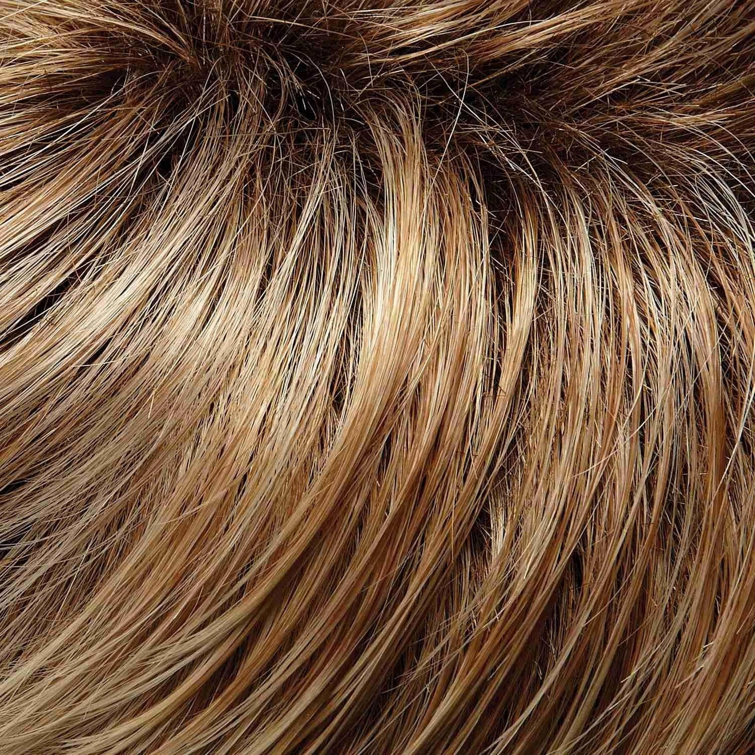 Anne Wig by Jon Renau | Heat Defiant Synthetic (Lace Front Hand Tied Mono Top)