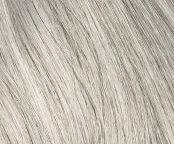 Aria wig - Envy Collection