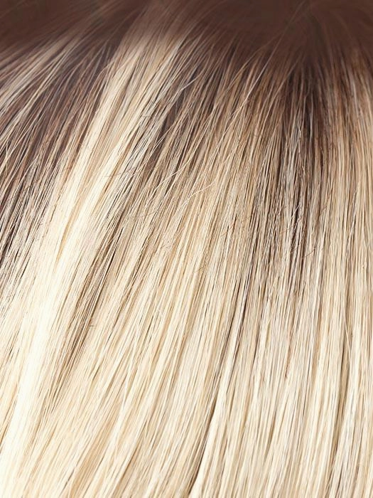 Bay Wig by Amore | Lace Front | Mono Top | Synthetic Fiber