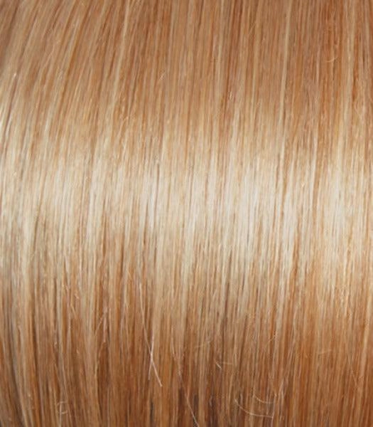 Best In Class Wig by Gabor | Heat Friendly Synthetic Lace Front