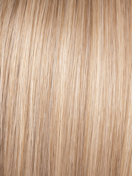 Best In Class Wig by Gabor | Lace Front | Heat Friendly Synthetic