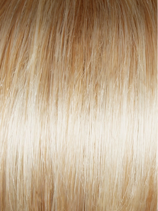 Best In Class Wig by Gabor | Lace Front | Heat Friendly Synthetic