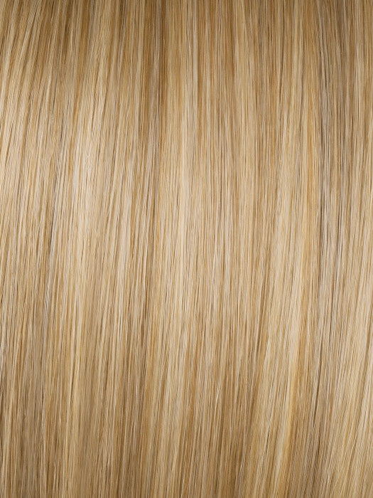 Best In Class Wig by Gabor | Lace Front | Heat Friendly Synthetic