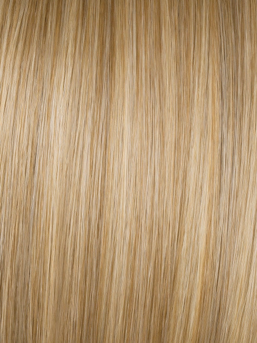 Best In Class Wig by Gabor | Lace Front | Heat Friendly Synthetic