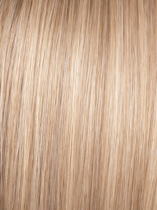 Best In Class Wig by Gabor | Lace Front | Heat Friendly Synthetic