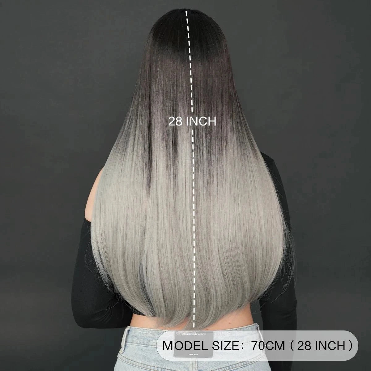 Black and Silver Wig