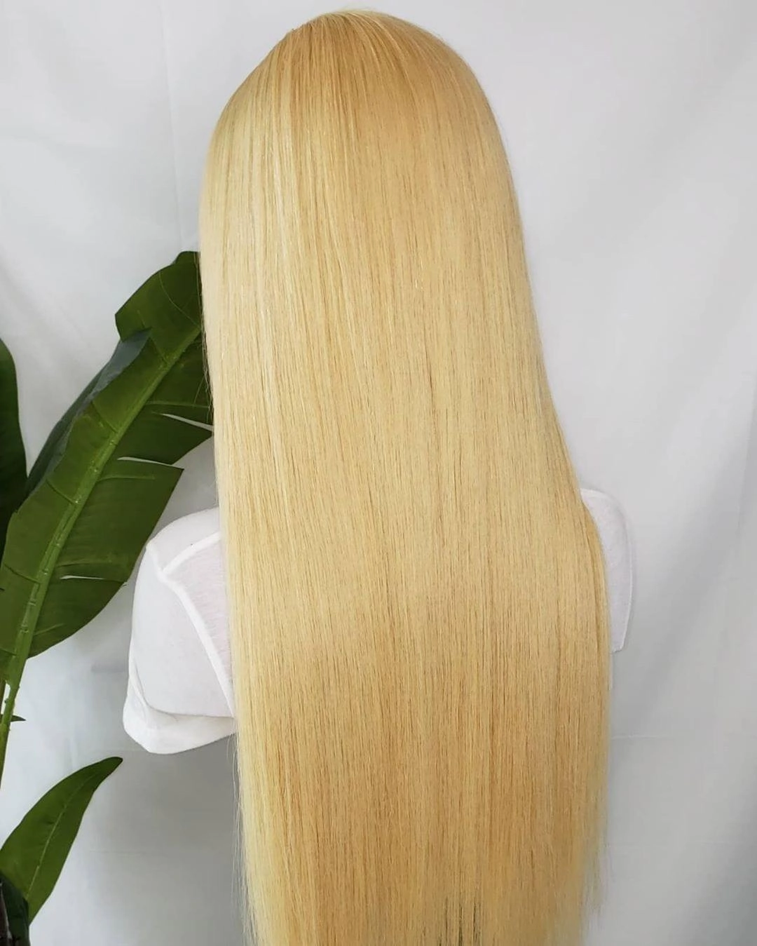 Blonde Lace Front Wig Human Hair