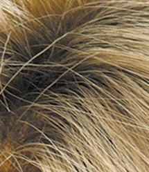 Brady Wig by Estetica Designs | Synthetic (Basic Cap)