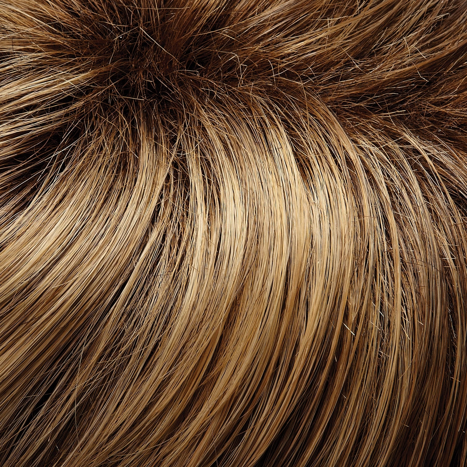 Cameron Large Wig by Jon Renau | Large Cap | Synthetic Fiber