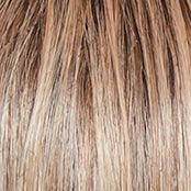 Captivating Canvas Wig by Raquel Welch | Synthetic Lace Front (Basic Cap)