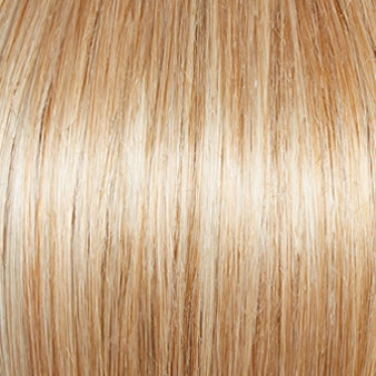Carte Blanche Wig by Gabor | Lace Front | Mono Top | Average Cap
