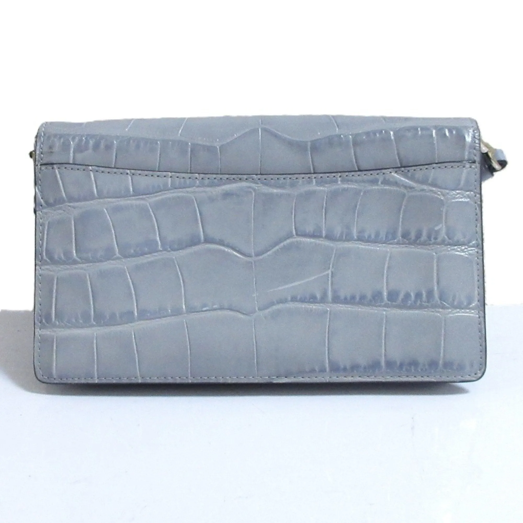 Coach Clutch Bag Sling Bag (Pre-Owned)