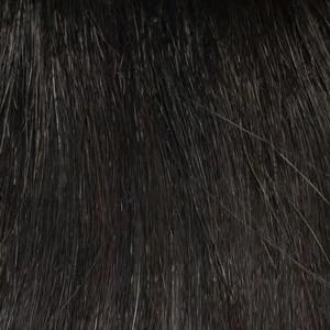 Coco Wig by Envy | Synthetic (Lace Front Mono Part)