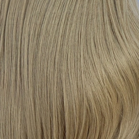 Color Sample - Caramel Blonde