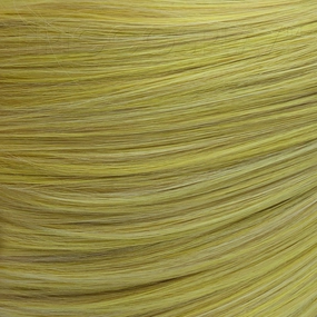 Color Sample - Rich Butterscotch Blonde