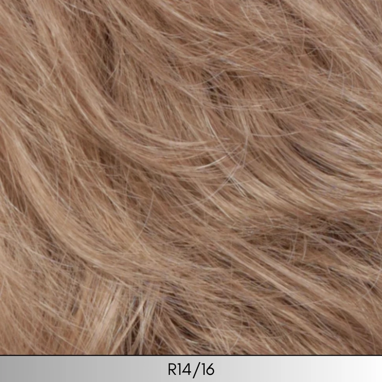 Compliment - Classique Collection by Estetica Designs
