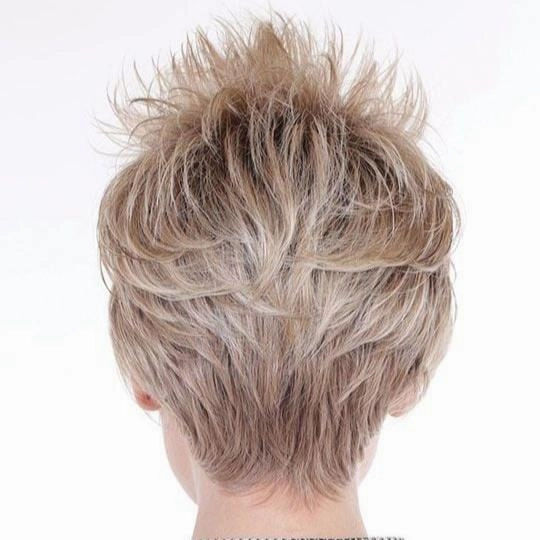Cortado Cut in Coffee without Cream - Caf Collection by Belle Tress ***CLEARANCE***