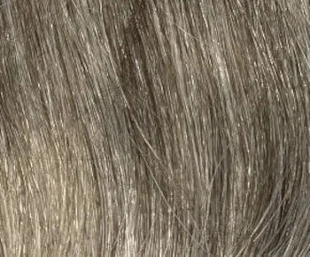 Coti wig - Envy Collection