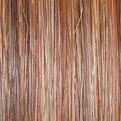 Cruise Control  Wig by Raquel Welch | Mono Part