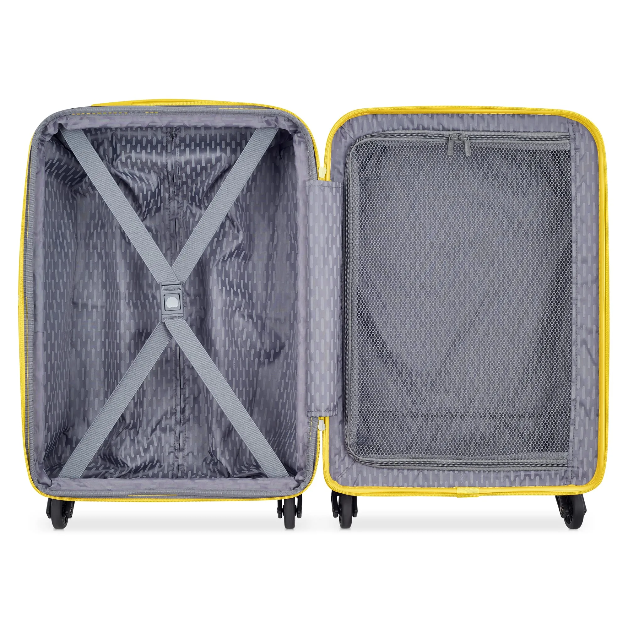 Delsey Paris Christine Hardside Expandable Luggage with Spinner Wheels (2 Piece Set (20/24))