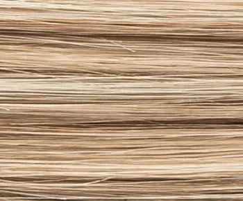 Desire Lace wig - Ellen Wille Hair Society Collection