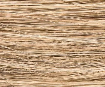 Desire Lace wig - Ellen Wille Hair Society Collection
