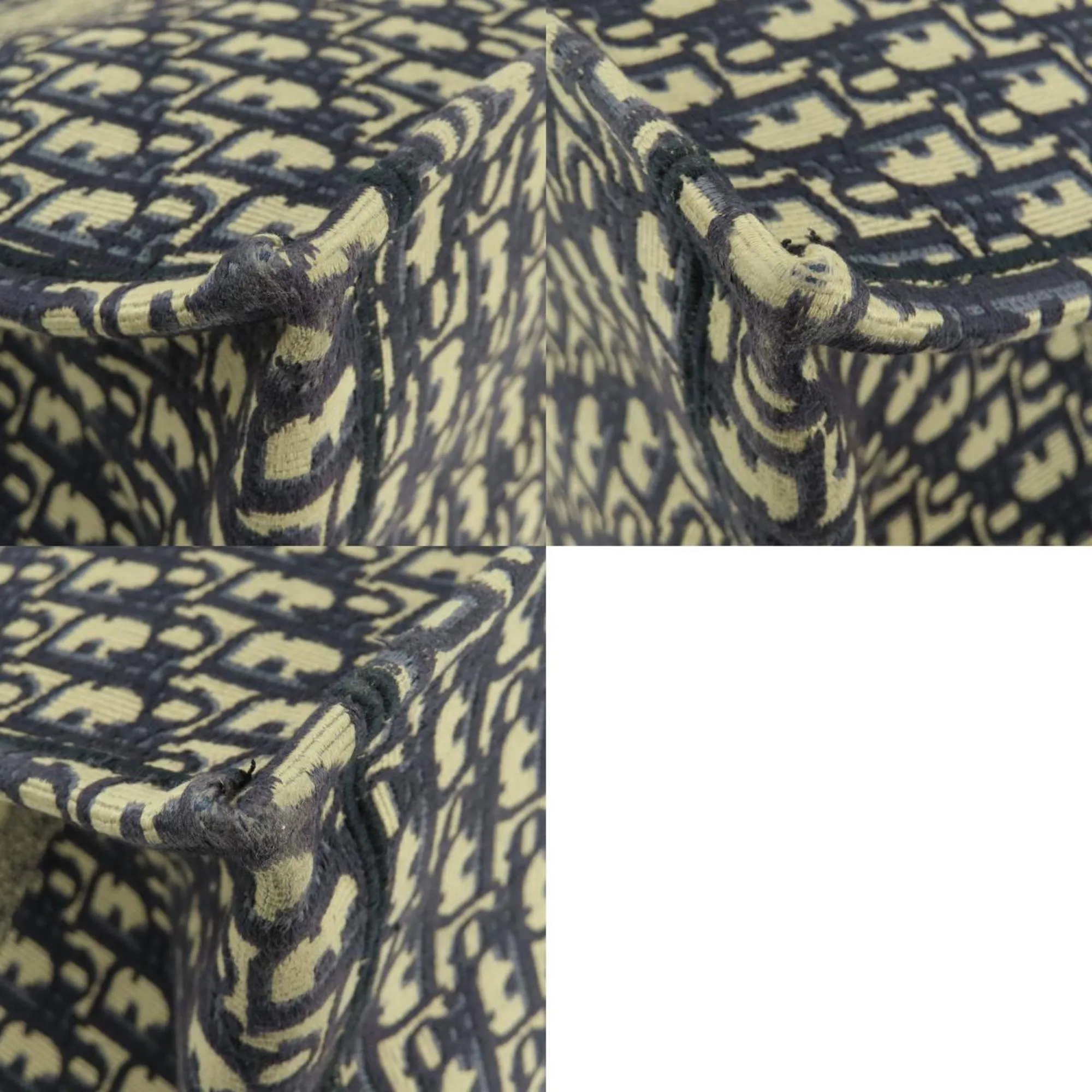 Dior Book Tote Canvas Tote Bag (Pre-Owned)