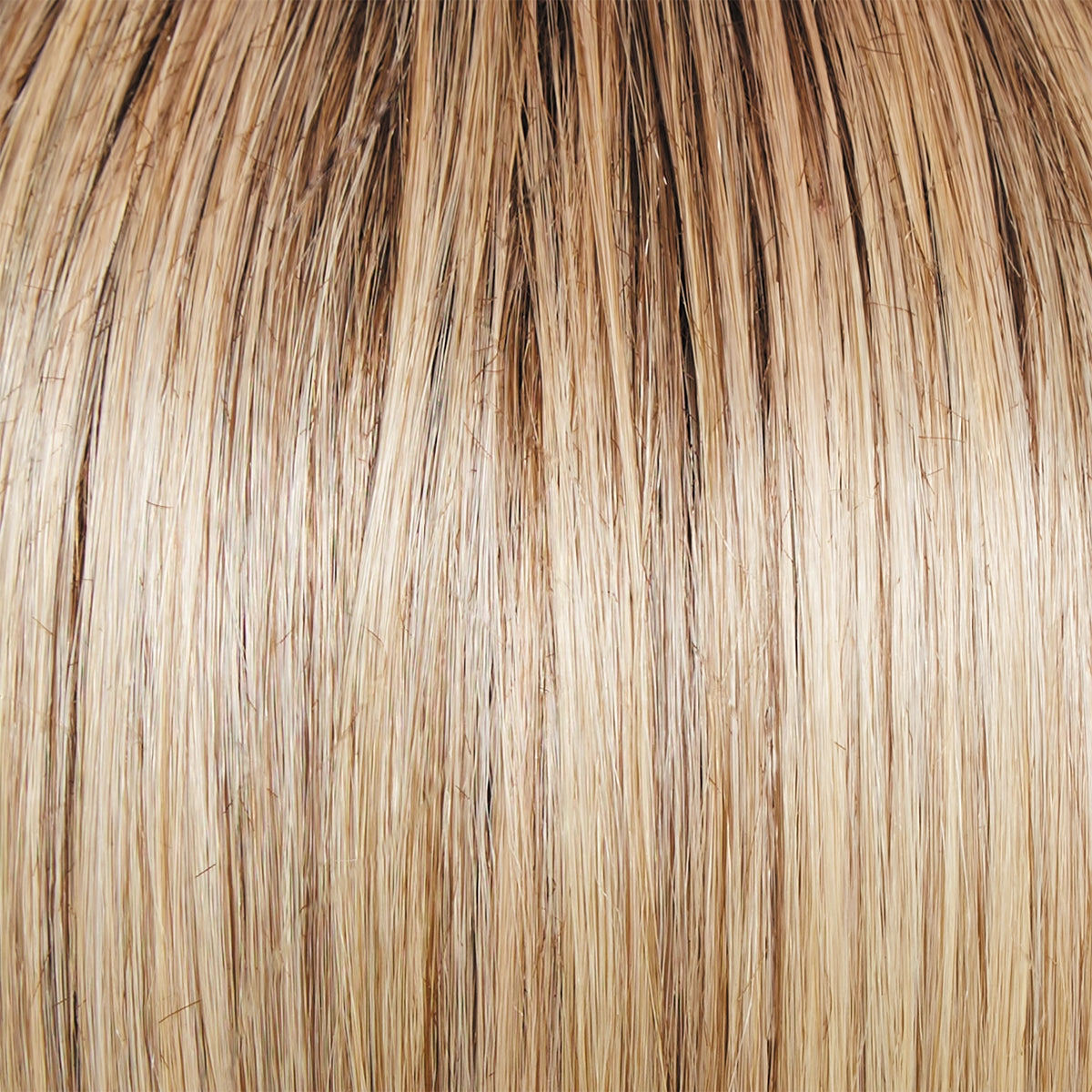 Director's Pick Wig by Raquel Welch | Heat Friendly Synthetic (Lace Front Mono)