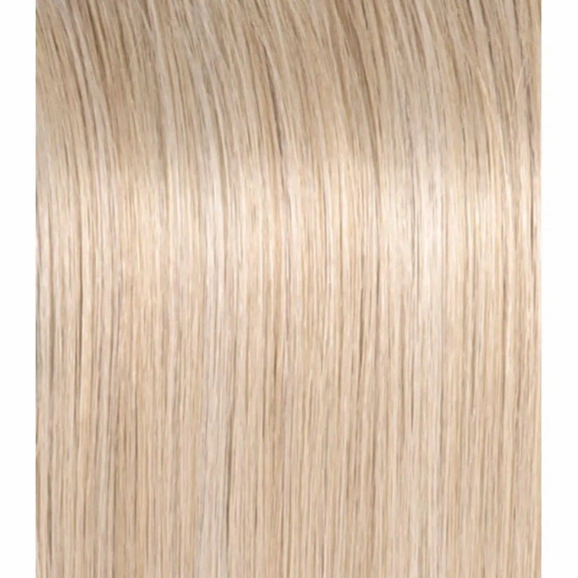Director's Pick Wig by Raquel Welch | Heat Friendly Synthetic (Lace Front Mono)