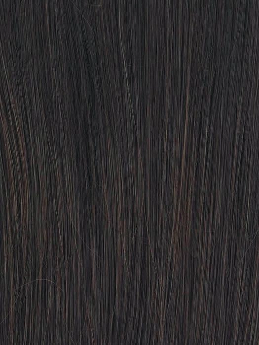 Embrace Wig by Raquel Welch | Heat Friendly Synthetic Hair | Average Cap
