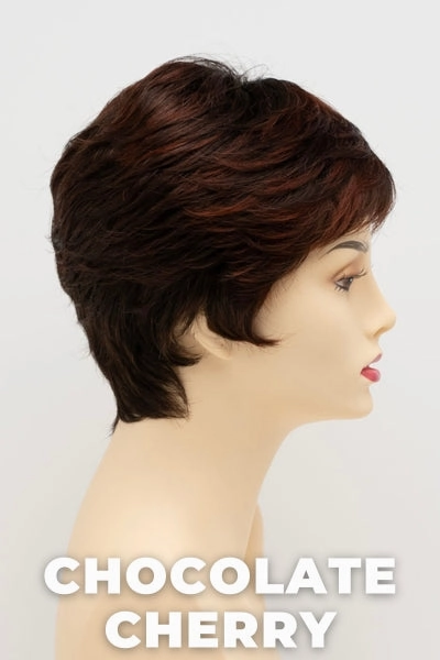Envy Wigs - Jeannie