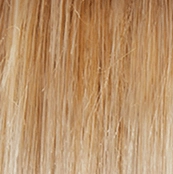 Falling For You Wig by Gabor | Synthetic Lace Front (Basic Cap)