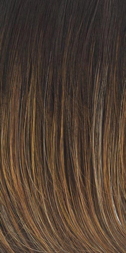 Fanfare Wig by Raquel Welch | Heat Friendly Synthetic (Lace Front Mono Top)