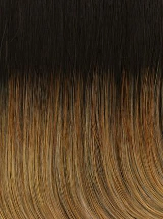 Fanfare Wig by Raquel Welch | Heat Friendly Synthetic (Lace Front Mono Top)