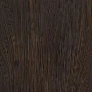 Fascination wig - Raquel Welch