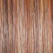 Flash Forward Wig by Raquel Welch | Mono Part