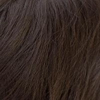 Fringe Flair - Amore Rene of Paris