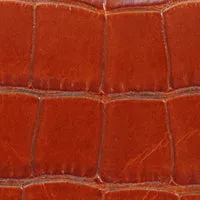 Fte Pochette