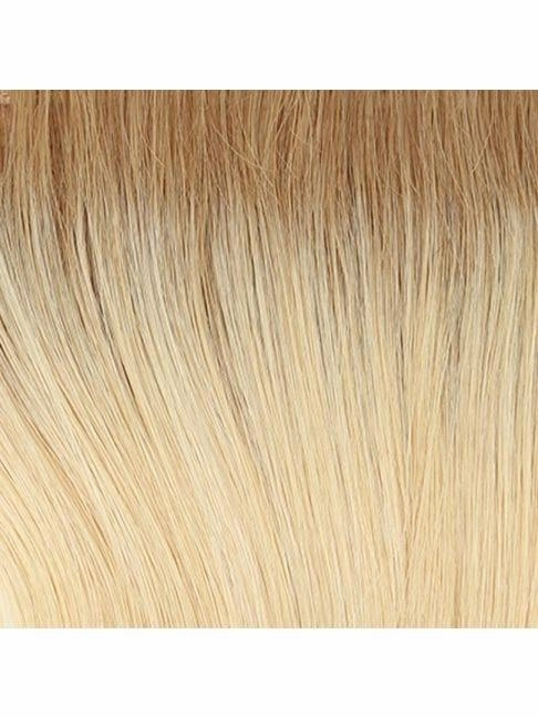 Glamour and More Wig by Raquel Welch | Lace Front (Mono)