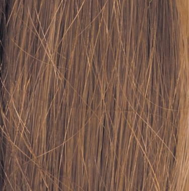 Grand Entrance Wig by Raquel Welch | Human Hair (Lace Front Mono Top)