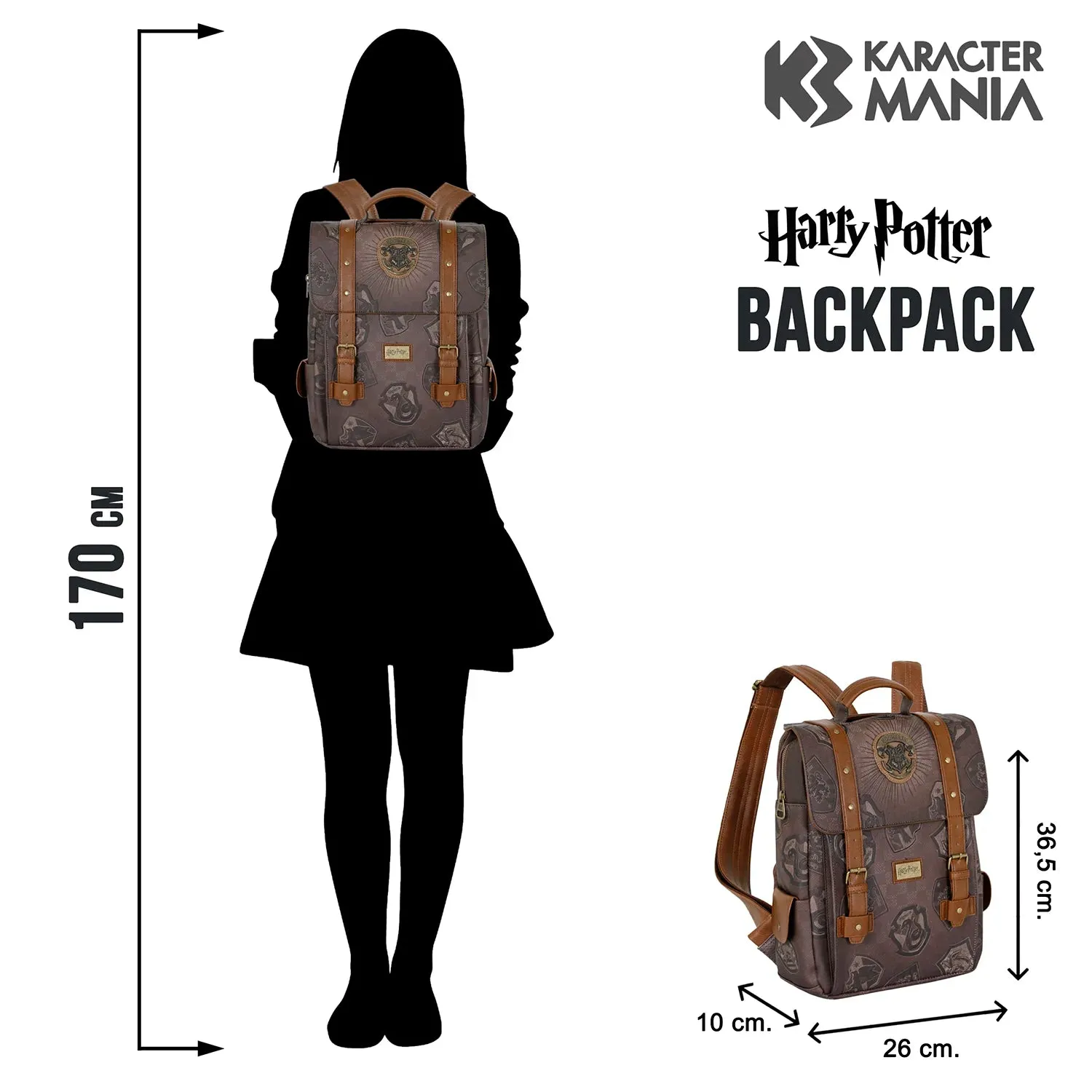 HARRY POTTER Tale Backpack Pride