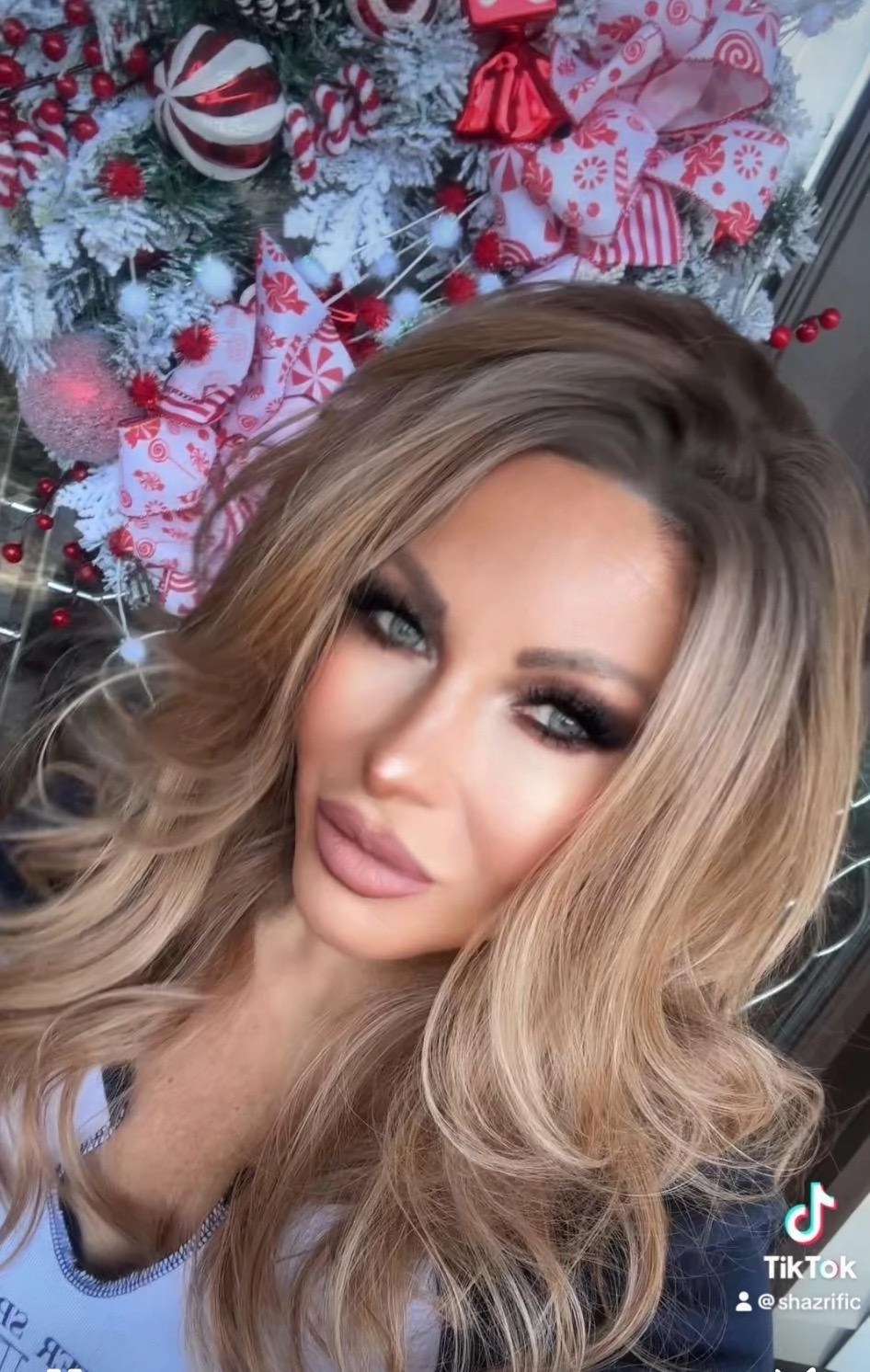 IMstyle Susan 13*4 free parting lace front wigs light brown with highlight curly hair style