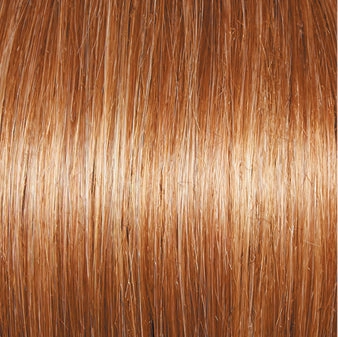 Incentive Wig by Gabor | Lace Front | Mono Top | Petite Cap