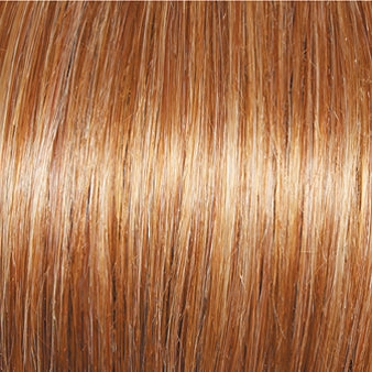 Incentive Wig by Gabor | Lace Front | Mono Top | Petite Cap