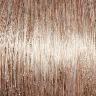 Incentive Wig by Gabor | Lace Front | Mono Top | Petite Cap