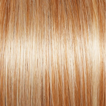 Incentive Wig by Gabor | Lace Front | Mono Top | Petite Cap
