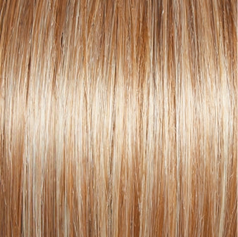 Incentive Wig by Gabor | Lace Front | Mono Top | Petite Cap