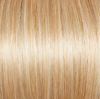 Incentive Wig by Gabor | Lace Front | Mono Top | Petite Cap